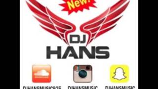 Haa  Zora Randhawa  Mofolactic Dj Hans  Remix Song [upl. by Lumbard997]