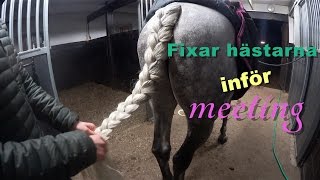 FIXAR HÄSTARNA INFÖR MEETING [upl. by Dione276]