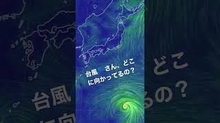 現在17時頃の波と台風の状況です。 [upl. by Terrye336]