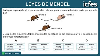 📚 ICFES 2024  Ciencias Naturales Leyes de Mendel [upl. by Aliet]