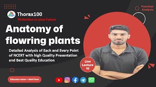 Anatomy of flowering plants Lecture 10 for Class 11 amp NEET Thorax100 [upl. by Esyla549]