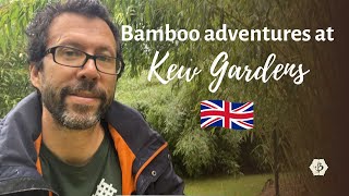 Bamboo adventures at Kew Botanical Gardens London [upl. by Atiner]