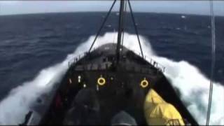 Operation Migaloo  200708  Sea Shepherd Whale Defense [upl. by Raynold]