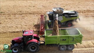 Worlds Largest Claas Lexion 8900 Trying To Beat The Rain 🌧️🌾🚜 [upl. by Elwyn]