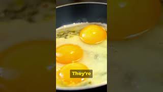 Myth Busted Do Eggs Raise Your Cholesterol [upl. by Saqaw787]