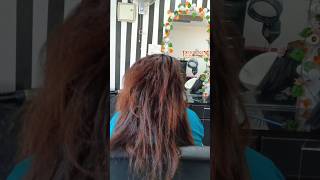 Dry damaged colored hair treatment💥 shortsshortsfeed youtubeshorts [upl. by Demaggio103]