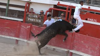 VAUVERTCourse CamarguaiseAS20082023 [upl. by Lelith]