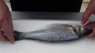 Passionate About Fish  How to Fillet and Clean Sea Bass and Bream [upl. by Neros]