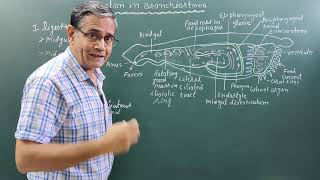 Digestion in BranchiostomaAmphioxus [upl. by Annoet877]