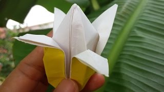 Origami banana 3D [upl. by Aldric]