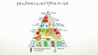 Was ist die Ernährungspyramide  Biologie  Mensch [upl. by Htinek615]