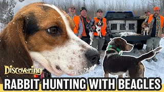 DISCOVERING  Rabbit Hunting with Beagles [upl. by Anirrak]