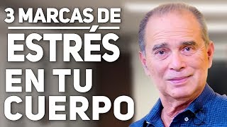 3 marcas del estrés en tu cuerpo en VIVO con Frank Suárez [upl. by Tiram]