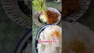 成田市にある栗原軒で鶏にんにく焼定食（ライス大）を食べる ショート版 孤独のグルメ [upl. by Eliot]