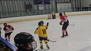 20241011 B Div Hawks 5  Hornets 5 [upl. by Eninahpets75]