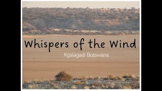 Whispers of the wind [upl. by Marlyn]