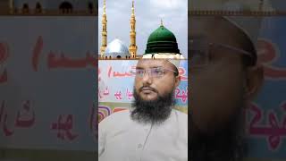 Ya Nabi Salam alaika HD shorts shortvideo [upl. by Novehs601]