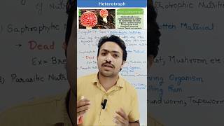 What is Heterotrophic Nutrition heterotrophs nutrition biology neet kvpy bio shorts physics [upl. by Ozkum]