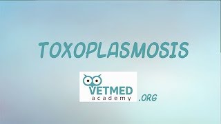 Toxoplasmosis [upl. by Relyat]