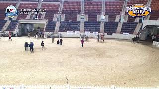 2024 AADS Day 2 New Holland Arena Part 2 [upl. by Rozalin296]