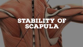 Stability of the scapula [upl. by Noived]