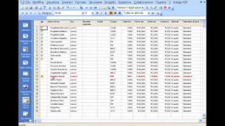 Risorse allocate su più progetti con Micrososoft Project [upl. by Japha]