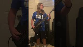 Playing Every Song I’ve Ever Learned on Bass pt14 shorts bass jet [upl. by Noek]