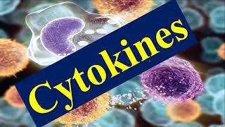 Cytokines and Chemokines [upl. by Edroi]