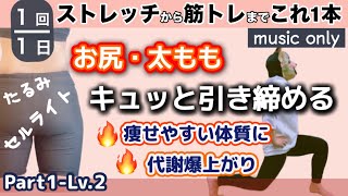 【お尻・太もも痩せ】代謝爆上がり！ダイエット効果抜群で体質の変化を実感できる【ヒップアップ筋トレ＆ストレッチ Part1 Lv2】 [upl. by Simpson]