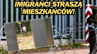 IMIGRANCI STRASZĄ MIESZKAŃCÓW [upl. by Francklin]