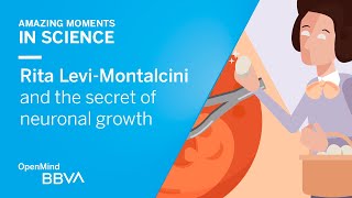 Rita LeviMontalcini and the secret of neuronal growth  AMS OpenMind [upl. by Anayk736]