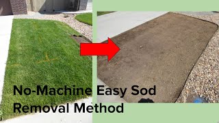 NoMachine easy sodturf removal method [upl. by Aleen435]