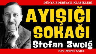 quotAyışığı Sokağıquot Stefan Zweig Dünya Edebiyatından Sesli Kitaplar [upl. by Nellir533]