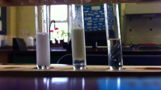 Halide ions and silver nitrate [upl. by Ahsyt]