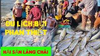 Làng chài bãi sau Mũi Né không nên bỏ qua khi ghé Phan Thiết ngày 882024  Du lịch bụi [upl. by Leira251]