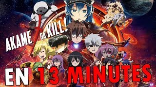 Akame ga Kill EN 13 MINUTES  RE TAKE [upl. by Caundra]