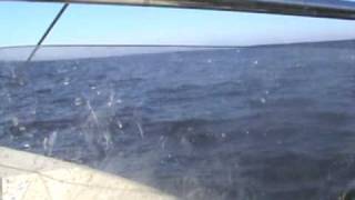 Oystering on the Pamlico sound [upl. by Madaih]