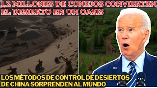 China Cría 12 Millones de Conejos en el Desierto y lo Convierte en un Oasis Sorprendiendo al Mundo [upl. by Evans]