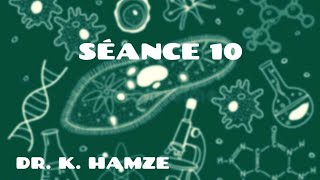 Séance 10  Dr K Hamze  Histo animale [upl. by Aloisia]