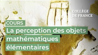 La perception des objets mathématiques élémentaires 1  Stanislas Dehaene 20232024 [upl. by Aloek]