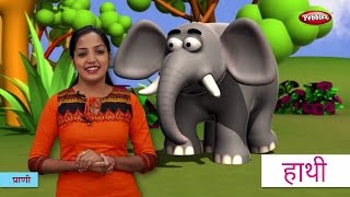 Animal Names in Hindi  हिंदी में प्राणियों के नाम सीखे  Hindi Animal Names For Children [upl. by Julissa]