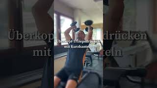 Überkopf Trizepsdrücken mit Kurzhanteln Tutorial FDLC gym coaching [upl. by Avilo]