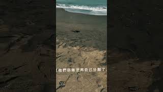 環境教育教材教法期中短影音影片 海哭 [upl. by Ainwat]