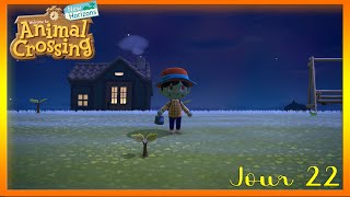 Animal Crossing  New Horizons  Jour 22  Plantation [upl. by Bertram]