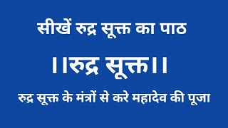 रुद्र सूक्त। नमस्ते रुद्र मन्यव। नित्य रुद्र सूक्त के मंत्रों से करें भोलेनाथ की पूजा।Rudra Suktam [upl. by Silvers192]