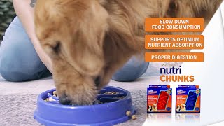 Improve Your Dogs Digestion with the NUTRI CHUNKS Slow Feeding Dog Dish [upl. by Alcina611]