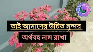 আমিনা নামের অথ কি Anina na merath ki aman and Amir auraton ki [upl. by Lane]