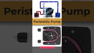 Peristaltic Pump Working Animation animation [upl. by Merari]