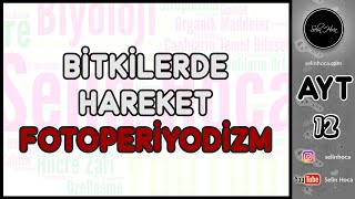 8 FOTOSENTEZE TEPKİMELERİ  12 SINIF  AYT BİYOLOJİ DERS NOTLARI  2024 [upl. by Anerom]