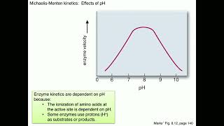 Medical Biochemistry Enzyme Kinetics Skildum [upl. by Aciretnahs]